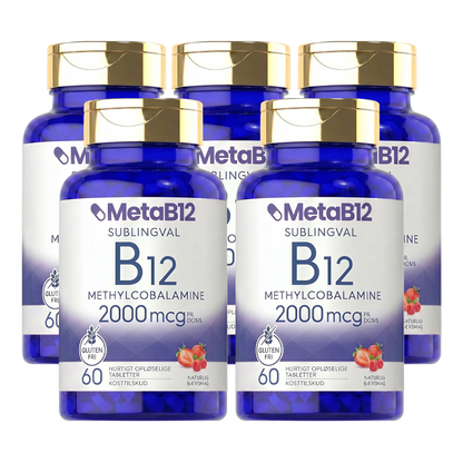 MetaB12