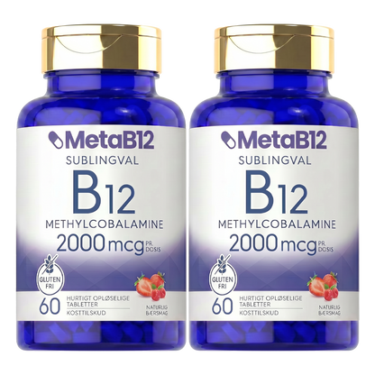 MetaB12
